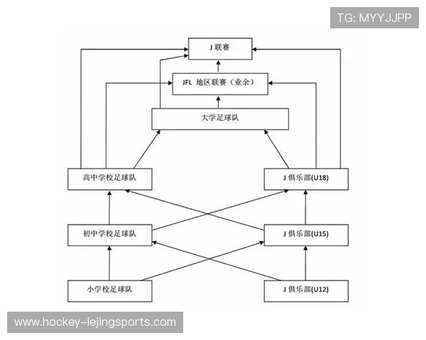 足球球星思维导图分析与全球足球运动发展趋势探讨